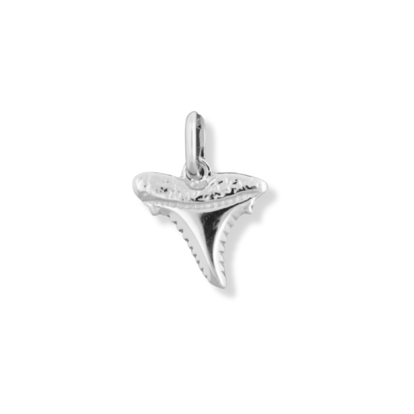 silver pendant shark tooth